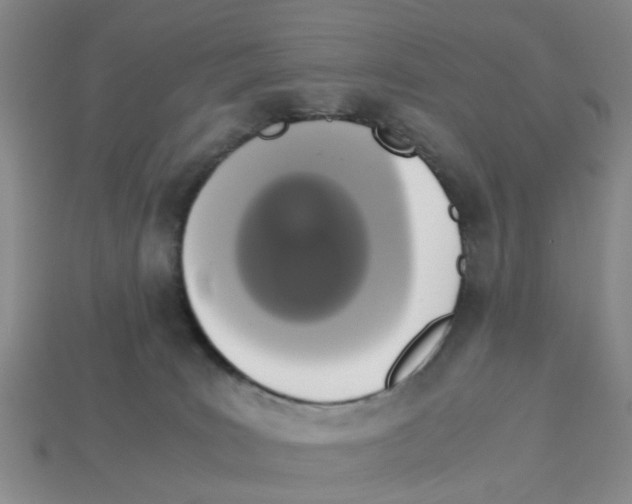 X0000113170035200910021531