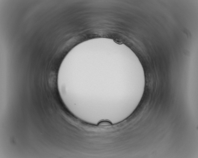 X0000113170036200910021531