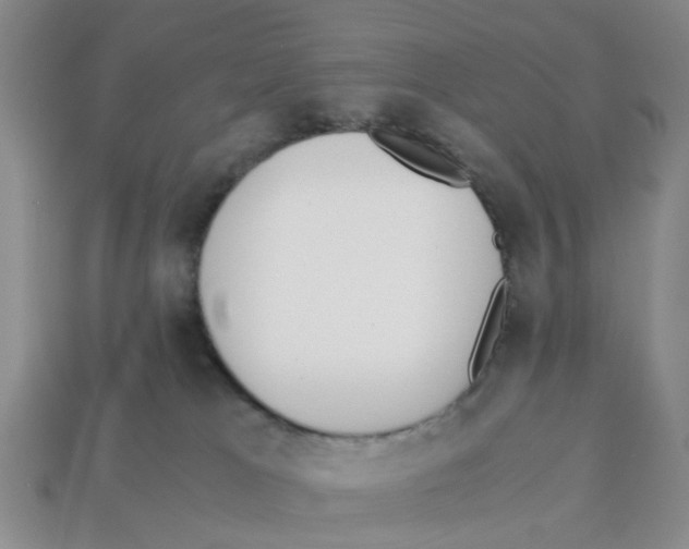 X0000113170037200910021531