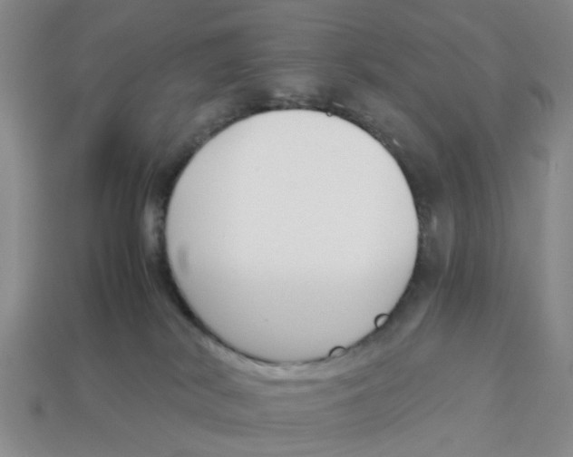 X0000113170038200910021531