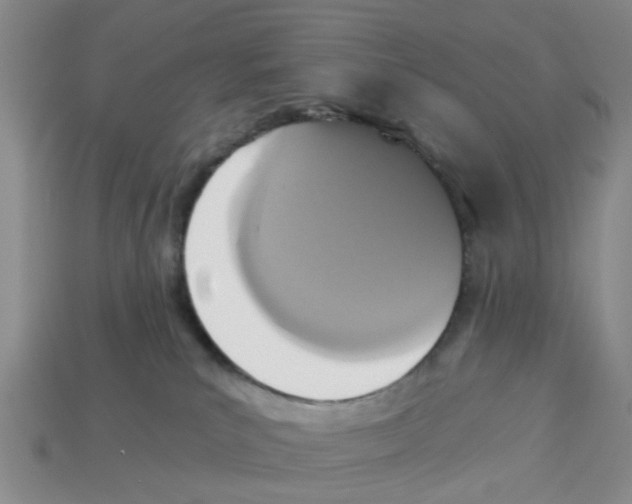 X0000113170039200910021531