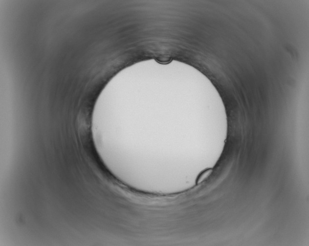 X0000113170040200910021531