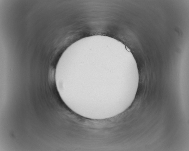 X0000113170041200910021531
