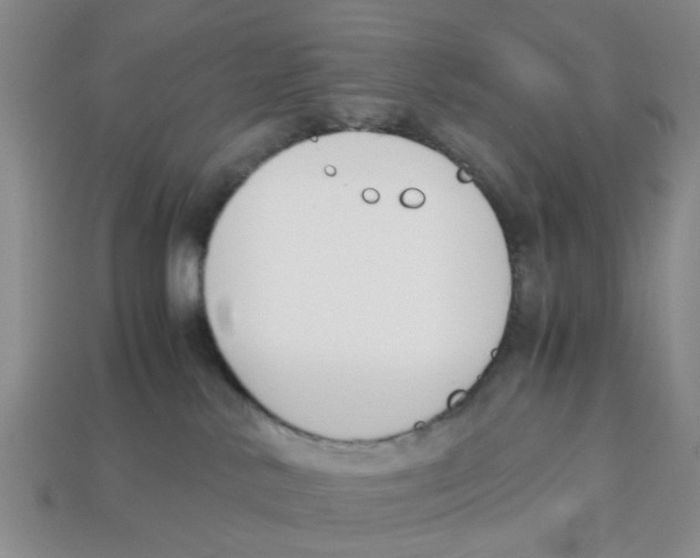 X0000113170042200910021531