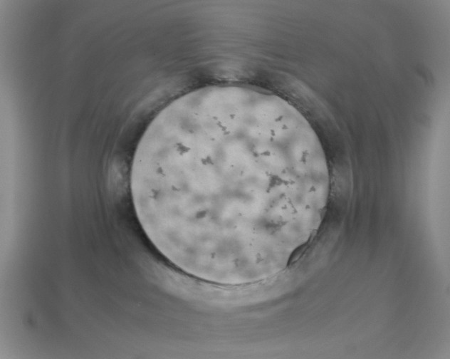 X0000113170043200910021531
