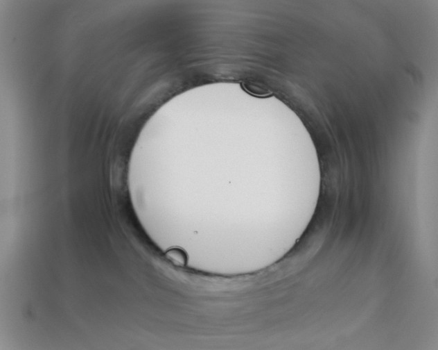 X0000113170044200910021531