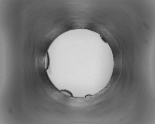 X0000113170045200910021531