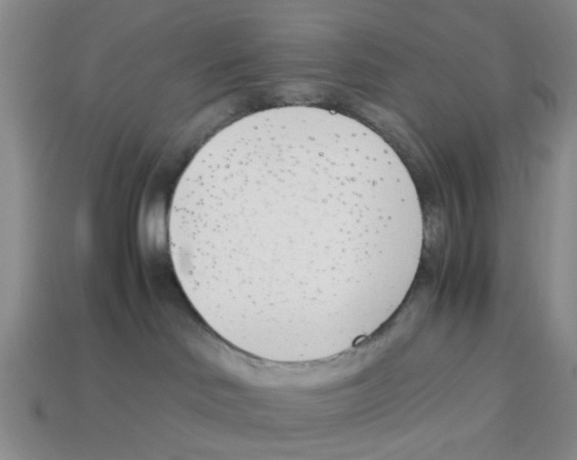 X0000113170046200910021531