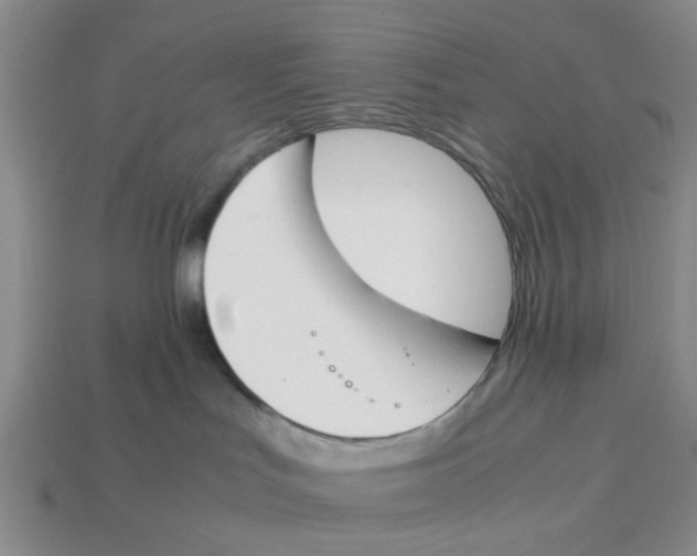 X0000113170047200910021531