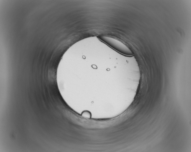 X0000113170048200910021531