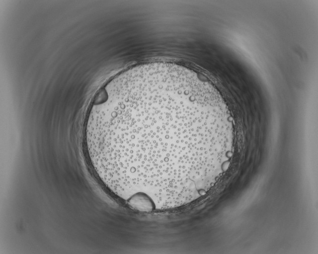 X0000113170049200910021531