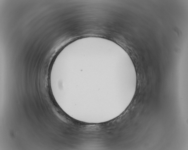 X0000113170050200910021531