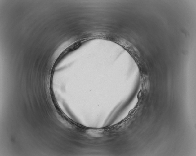 X0000113170051200910021531