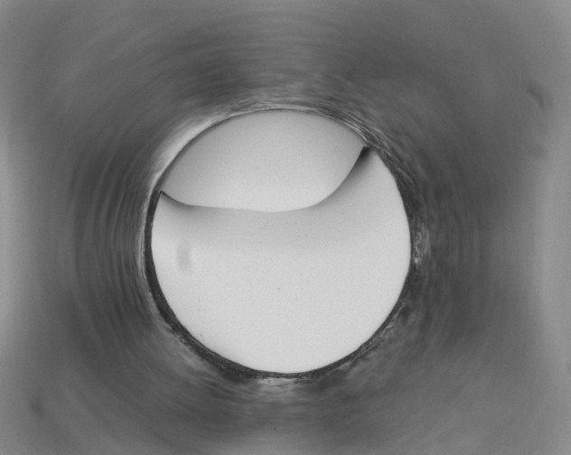 X0000113170052200910021531