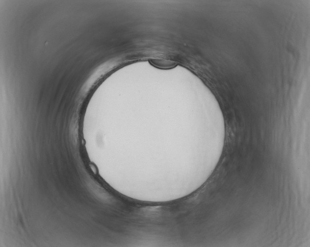 X0000113170054200910021531