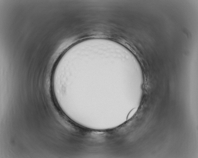 X0000113170055200910021531