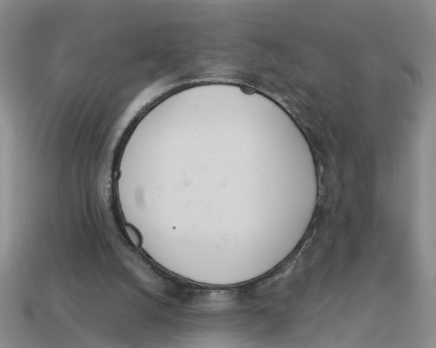 X0000113170056200910021531