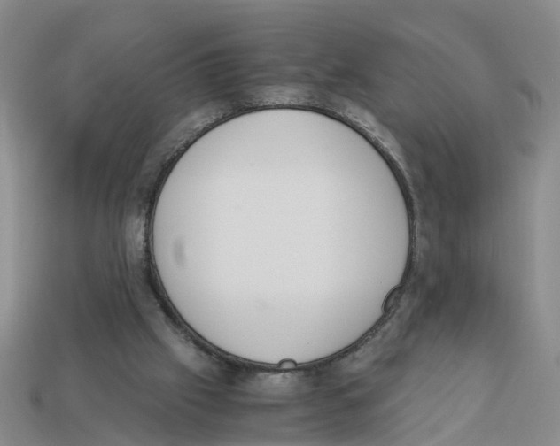 X0000113170057200910021531
