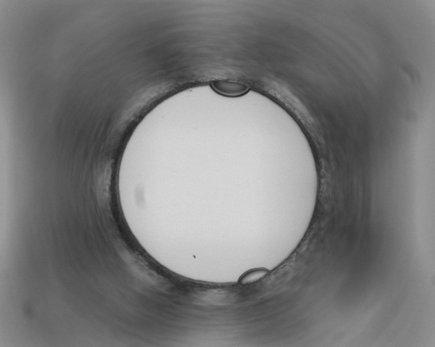X0000113170058200910021531