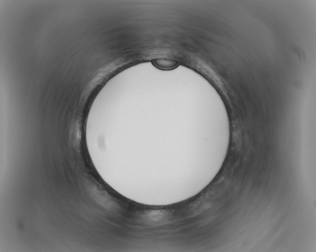 X0000113170059200910021531