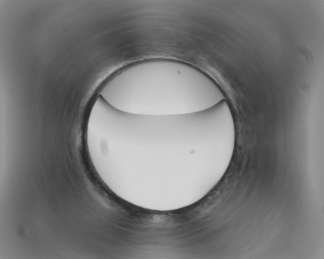 X0000113170060200910021531