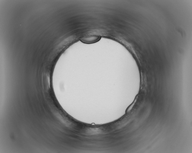 X0000113170061200910021531