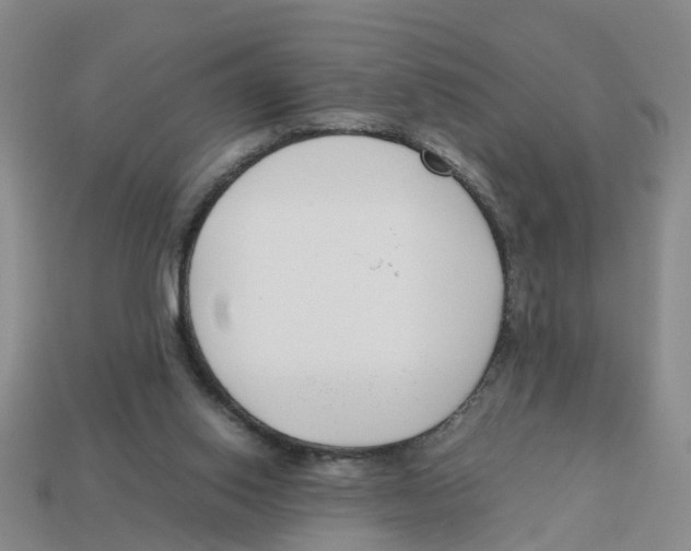 X0000113170062200910021531
