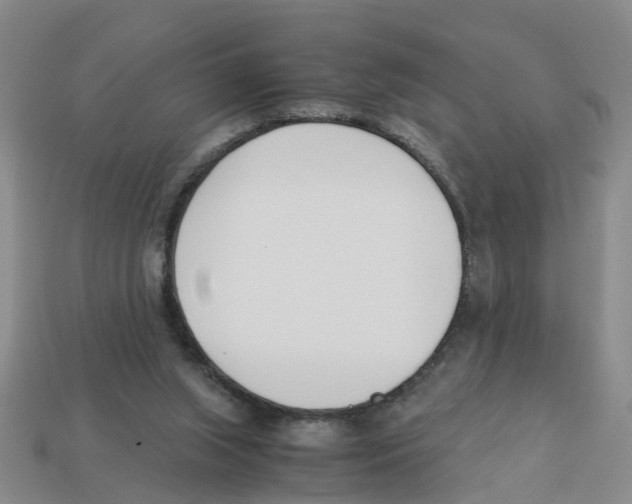 X0000113170063200910021531