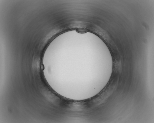 X0000113170064200910021531