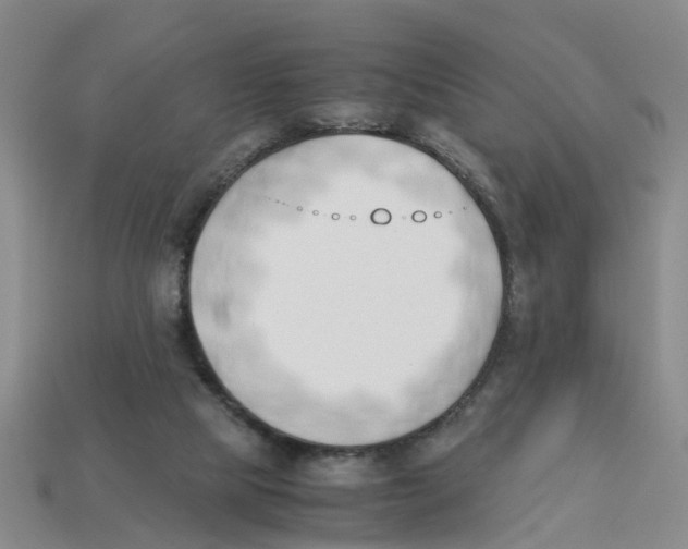X0000113170065200910021531