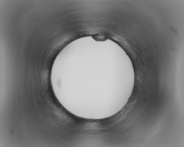 X0000113170066200910021531