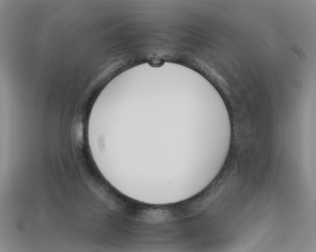 X0000113170067200910021531