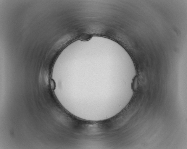X0000113170068200910021531