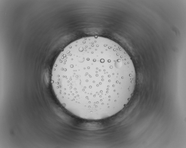 X0000113170069200910021531