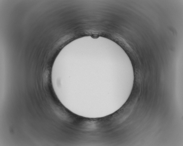 X0000113170071200910021531
