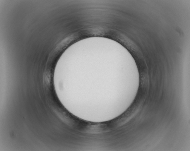 X0000113170072200910021531
