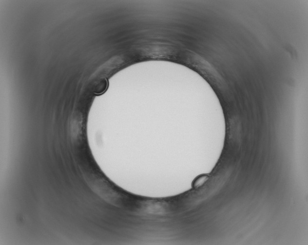 X0000113170073200910021531