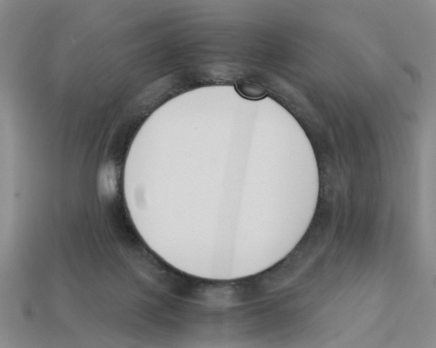X0000113170075200910021531