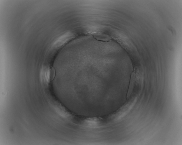 X0000113170076200910021531