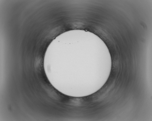 X0000113170079200910021531
