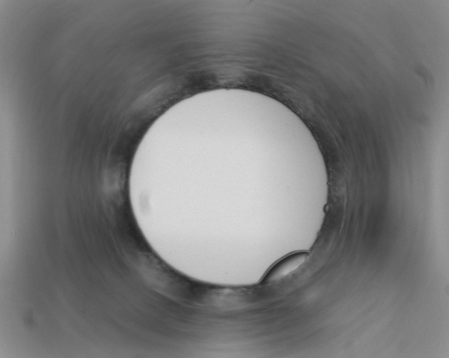 X0000113170082200910021531