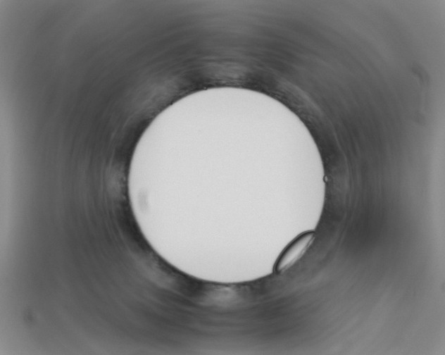 X0000113170083200910021531