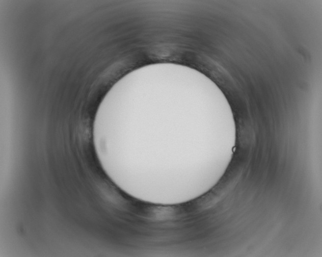 X0000113170085200910021531