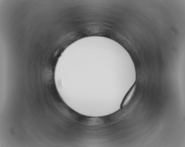 X0000113170087200910021531