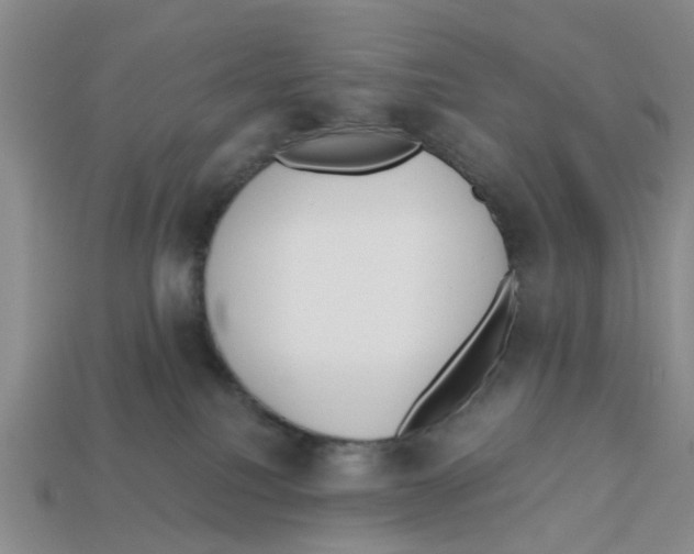 X0000113170088200910021531