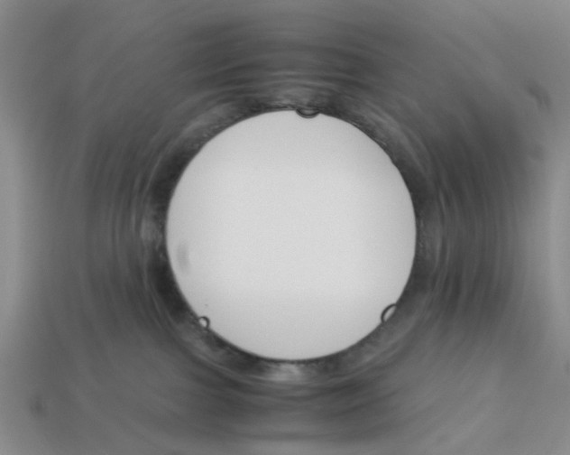 X0000113170091200910021531