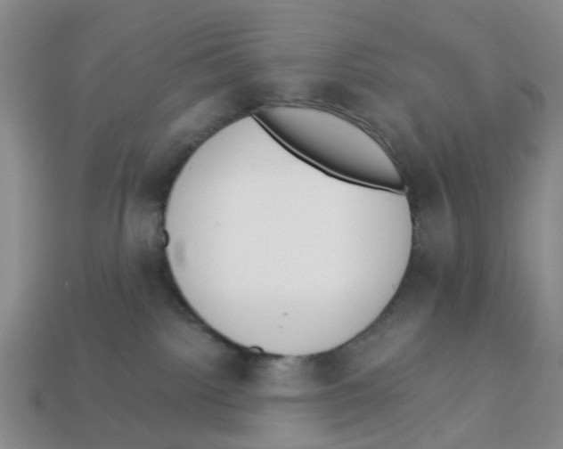 X0000113170092200910021531