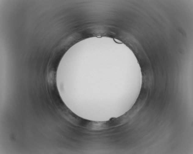 X0000113170093200910021531