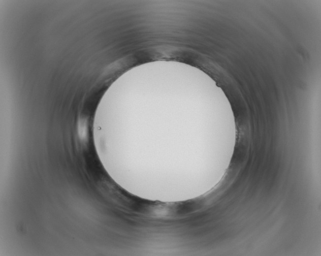 X0000113170094200910021531