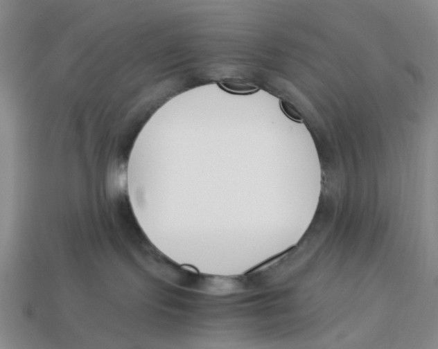 X0000113170095200910021531